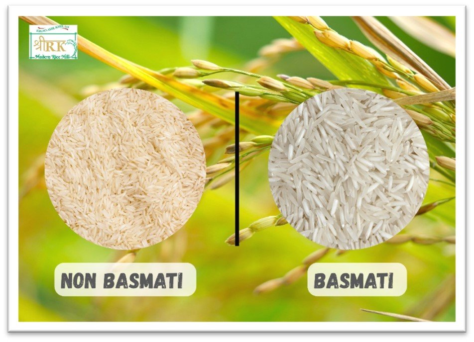 HOW NON-BASMATI RICE IS BETTER THAN BASMATI RICE.